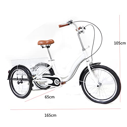 Dreirad für Erwachsene LENJKYYO 20 Zoll mit Single-Speed