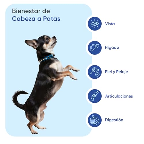 Multivitaminas y Minerales para Perros - 365 Comprimidos, 18 Vitaminas para Apoyo Inmunológico, Piel, Pelo y Articulaciones - Ideal para Todas Las Razas y Tamaños, Mayores y Cachorros - imagen 3