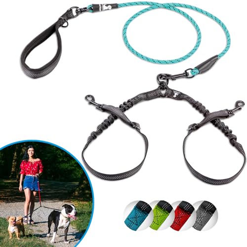 Correas Perros Pequeños Azul Marca SparklyPets