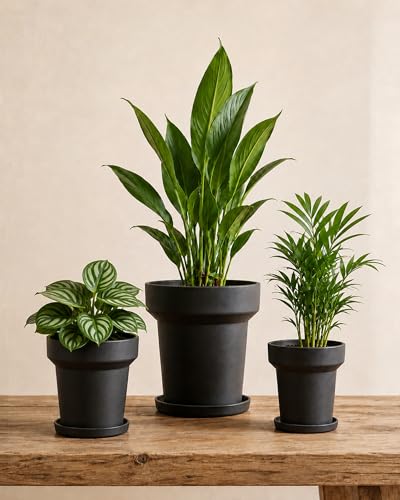  Plant Pots Indoor with Drainage Holes- Set of 3  - image 1