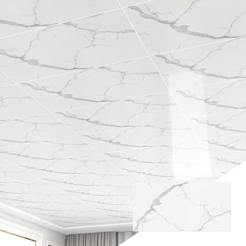 Azulejos de techo autoadhesivos de poliestireno para renovaciones de pared 2
