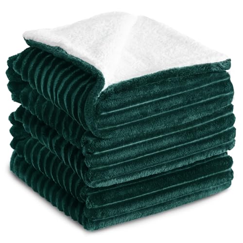 RUIKASI Sherpa Decke 230x270 cm - Flauschige Kuscheldecke Weich Grün, Warme Winterdecke Cord für Sofa & Couch, Dicke Wolldecke