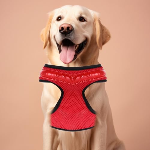 Chaleco LED para Perros con Luz Roja Recargable USB y Chaleco Transpirable TOVINANNA 7