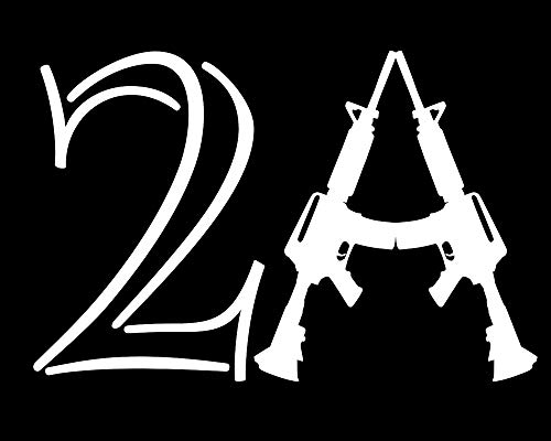 AR15 Guns sticker vinyle résistant aux UV et lavages LLI1487