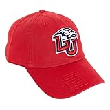 Desert Cactus Liberty University Baseball Hat Flames Brimmed Embroidered Hats Cap Adjustable Cloth Strap Adult (Style B) Red