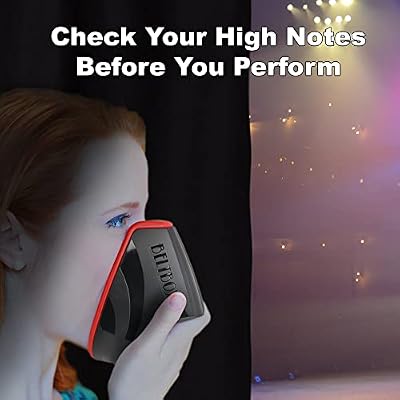 BELTBOX: Vocal Dampener for Singers, Actors, Performers, Stress Relief. A Portable Warm-Up Room.
