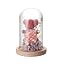 Ours En Rose éternelle Sous Cloche - Avec Lumière LED, Décoration Romantique, Cadeau Pour Femme