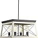 Progress Lighting P400047-143 Briarwood Graphite Four-Light Chandelier,