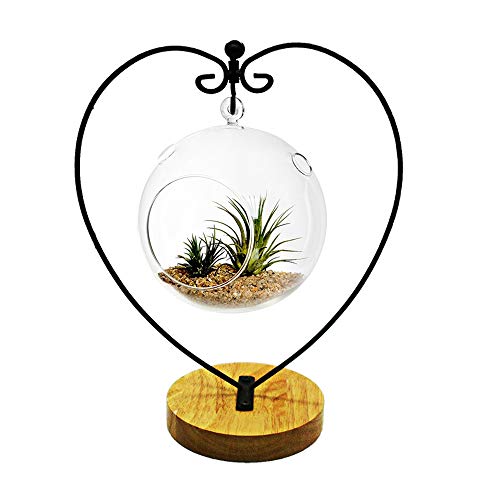CXLE Ornament Display Stand, Ornament Stand Holder Iron Pothook Stand for Hanging Glass Globe Air Plant Terrarium, Witch Ball, Christmas Ornament and Home Wedding Decoration - Thumbnail 7