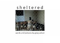 sheltered 1452805024 Book Cover