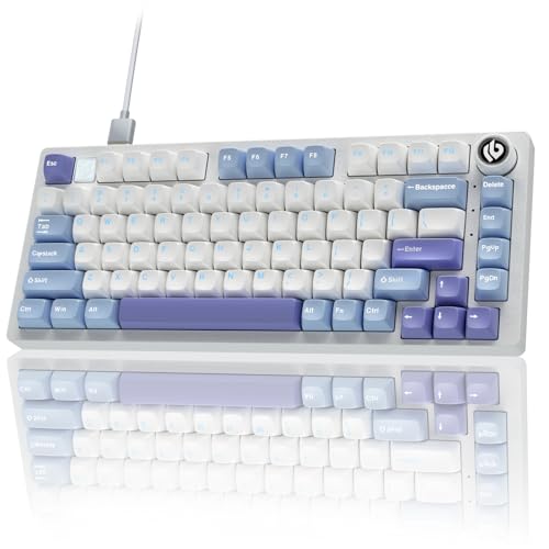 CORBOBO x LEOBOG Hi75 メカニカルゲーミングキーボード 有線、アルミニウム製クリーミーサウンドキーボード、75%レイアウト NKRO ホットスワップ可能 潤滑済みリニアスイッチ カスタムゲーミングRGBバックライト ノブ付きのサムネイル