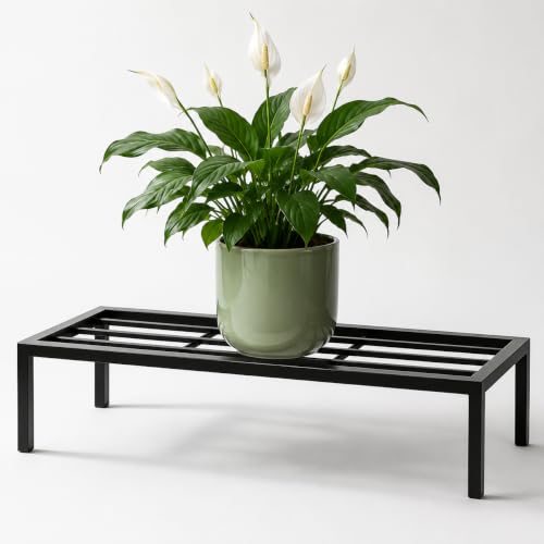 Image of Kundi Plant Stand for Balcony Decoration | Anti-Rust Metal Pot Stand for Indoor & Outdoor Plants | Garden Flowerpot Stand | Black | 24 Inch | (Pack of 4) (Pack of 2)