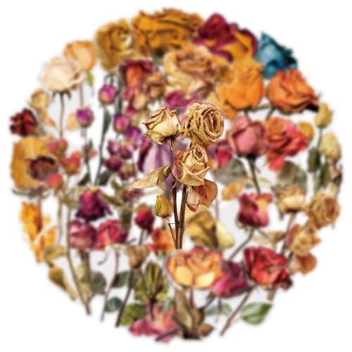 Image of Transparent Flora Scrapbook Stickers Aesthetic Flowers Stickers(ROS) | Transparent & Waterproof Sticker for Scrapbook Journal Water Bottle Kindle, DIY Crafts, Party Supplies