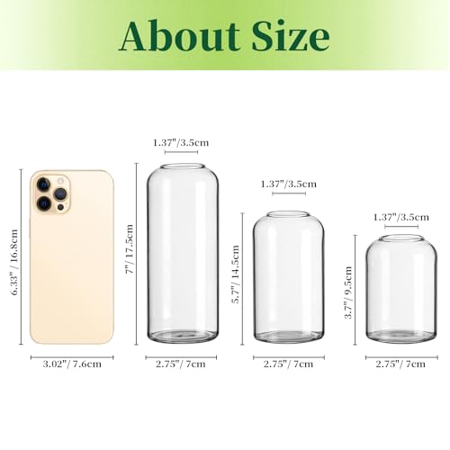 Hewory Kleine Vasen für Tischdeko: 6er Set Klar Vasen Deko Glaszylinder Vase Glas, Klein Glasvase Rund Zylinder Vasen Set, Modern Deko Vase Klein Blumenvase Glas für Wohnzimmer Hochzeit Party – Bild 5