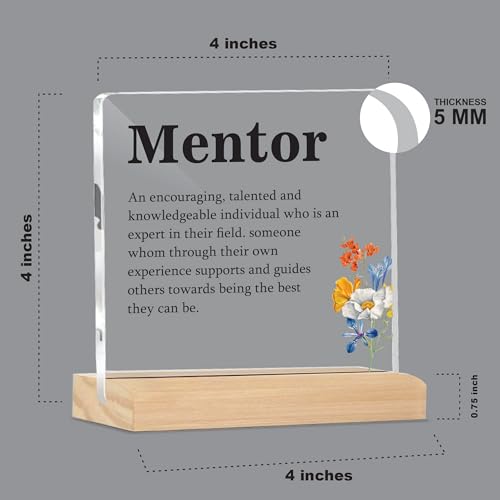 Image of Giftplease Mentor Plaque with Wooden Stand Personalized Gift for Mentor, Coach, Teacher, Appreciation Keepsake, Clear Desk Decor, Inspirational Thank You Gift, Office Table Display MP 70