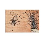 Nous recherchons des affiches sur toile de haute qualité, qui sont mieux que les affiches en papier.