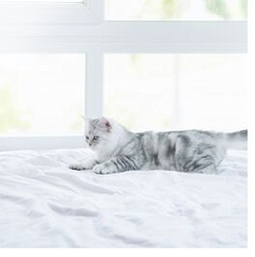ienjoy Home Simply Soft 4 Piece Sheet Set Ribbon Patterned, King, Gray (IEH-4PC)