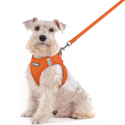 Image of rabbitgoo Dog Harness Medium Sized and Leash Set, Step-in Puppy Pet Vest