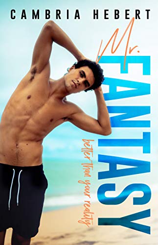Mr. Fantasy: A One Night Stand Millionaire CEO Standalone Romance