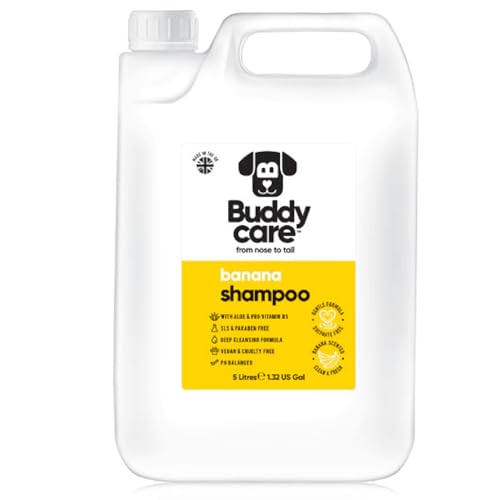 Are bananas good for dogs skin