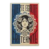 shepard fairey signed Stile telaio; installeremo l'immagine sulla cornice di legno, si prega di scegliere in base alle proprie esigenze.