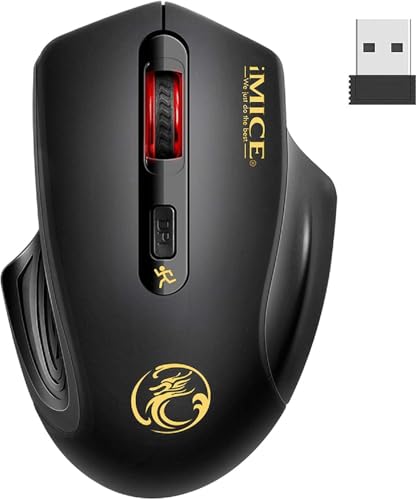 Lichely 2.4G Wireless Silent Mouse, 1600 DPI Ergonomic Computer Mouse with USB Receiver, Compatible with Windows/Mac/Chrome OS, Noiseless Click for Office & Home (Graphite Black)
