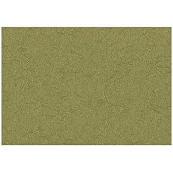 Amazon 壁紙 簡単 おしゃれ モダンでシンプルな無地の不織布壁紙 和風抹茶グリーンの日本の寝室のレストランの装飾壁紙 53x1000cm 8612 壁紙