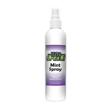 Nit Free Terminator Comb, Mint Spray, Head Lice Combo Kit, 16oz Spray Set