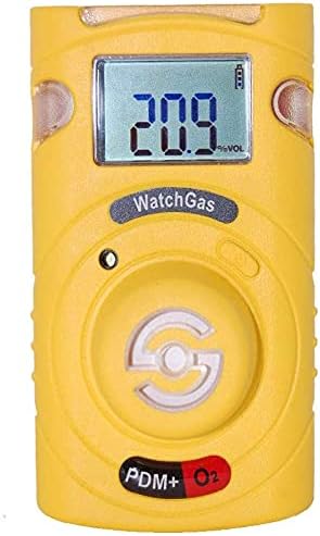 Portable Gas Detector