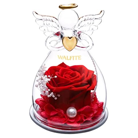 WALFITE Valentine's Day Angel Statue Rose is a Gift for Women. Well-Preserved Roses are a Romantic Gift for The Beloved Girl. It is a Gift for Mother's Day, Wedding Anniversary and Birthday. (Red) Cover
