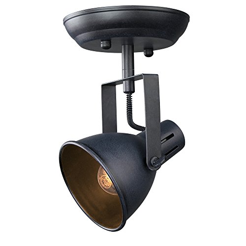 LNC Industrial 2-light Ceiling Light Fixture, Pendant Lamp with Metal Mesh Shade, Aged Steel Finish (Black)