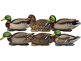 Avery PG XD Series Mallards-Harvester Pack (1/2 Dozen)