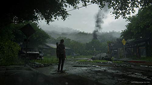 Sony, The Last Of Us PS4, Édition Standard, 1 Joueur, Version Physique avec CD, En Français, PEGI 18+, Jeu pour PlayStation 4