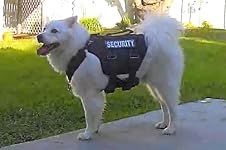 Review Image by Martha S. Martha S.