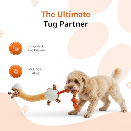Image of Amazon Basics Giraffe Soft Squeaky Plush Dog Toy | Cuddle & Tug Play Toy | Machine Washable | Reinforced Fabric | Non-Toxic | for Small to Large Dogs | 5-30 kg