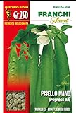 FRANCHI SEMENTI