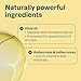 ATTITUDE Body Soap Bar, Natural Origin, Protects and Softens Dry Skin, Watercress, Indian Cress & Olive Oil, EWG Verified & Vegan, Earl Grey & Fresh Cucumber, 4 Oz