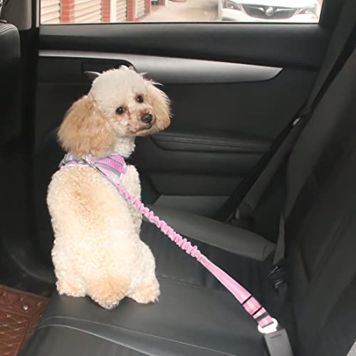 Hpethf Dog Harness For Small Dogs Leashes Set,Soft No Pull Adjustable Breathable Mesh Leash And Harness Vest Belt For Puppy,Small,Medium Dogs And Cats.（Pk-S） #TOP4