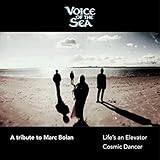  A Tribute to Marc Bolan