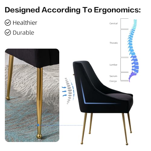 Velvet Dining Chairs Set of 2, Furniture Collection Modern Contemporary Upholstered with Polished Gold Metal Legs(Black) - Image 8