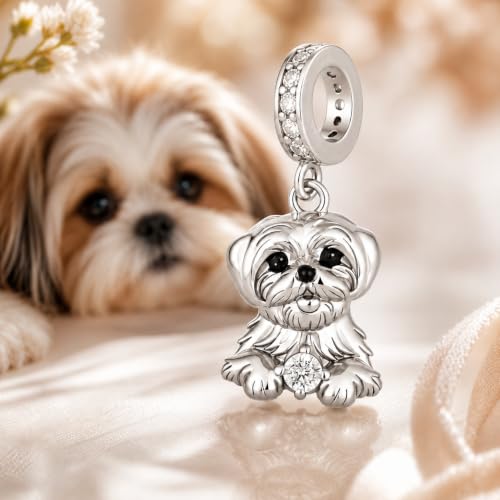 Abalorio de plata de ley 925 Shih Tzu compatible con pulseras finas 4