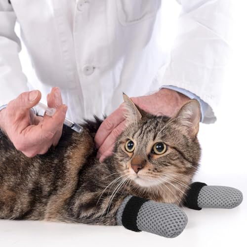 JEYORZY 4 Stück verstellbare Katzenschuhe aus Netzstoff, Atmungsaktiv Katzenpfotenschutz, Katzenstiefel zum Baden von Haustieren, Schneiden von Nägeln, Überprüfen-Grau-M