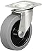 Blickle LEX-POEV 125XR-SG Swivel Caster, 4.92" Wheel Diameter, 330 lb. Load Capacity