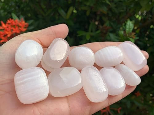 Image of GAF TREASURES 1 /2 LB Pink Calcite Tumbled Stones, Polished Natural Pink Calcite Gemstone, Pink Calcite Healing Crystals (Pink Calcite)
