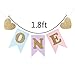 LXZS-BH Blue and Pink 1st Birthday Banner, Glitter