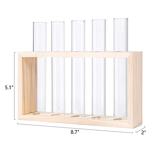 image for Mkono Wall Hanging Plant Propagation Station 5 Tubes with Wooden Stand