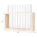 Mkono Wall Hanging Plant Propagation Station 5 Tubes with Wooden Stand Desktop Plant Terrarium for Hydroponic Plants, Home Office Decor Planter Gardening Gifts, Beige