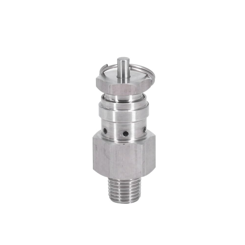 0,1/0,2/0,3 Mpa 1/4 "NPT SUS304 Sanitarny regulowany zawór nadmiarowy ciśnienia powietrza wydechowy sprężarka Homebrew(0.2 Mpa)