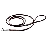 Coastal Pet - Circle T - Latigo Leather Dog Leash (3/8 x 06 Inches)