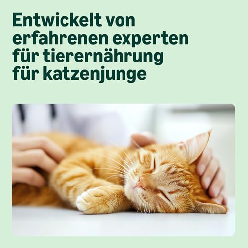 by Amazon Katzenfutter für junge Katzen (Junior), Fein zubereitetes Trockenfutter mit frischem Huhn, Getreidefreie Rezeptur, 3 kg (1er-Pack)(Zuvor eine Marke von Lifelong, gleiches Produkt) 3